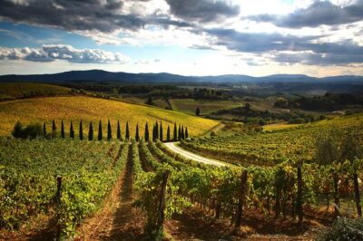 Tuscany Hiking Tour from Siena Including Wine Tasting - Getting to the trailhead at Siena FS53100 (and why it matters)