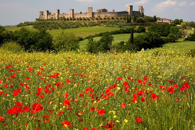 Tuscany Hiking Tour from Siena Including Wine Tasting - Practical tips before you go (based on what works)
