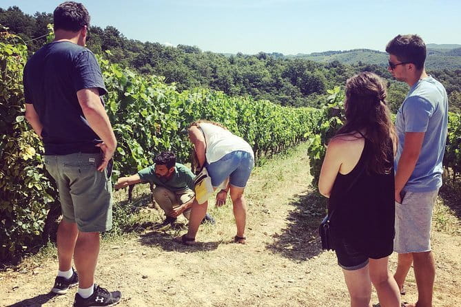 Tuscany Vespa Tours Through the Hills of Chianti - Who should book the Tuscany Vespa hill ride?