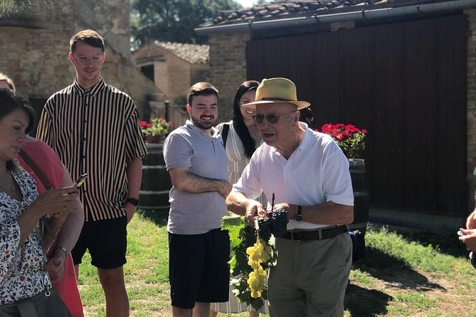 Tuscany Wine & Hills from Florence - Small Group - Key things to know before you go