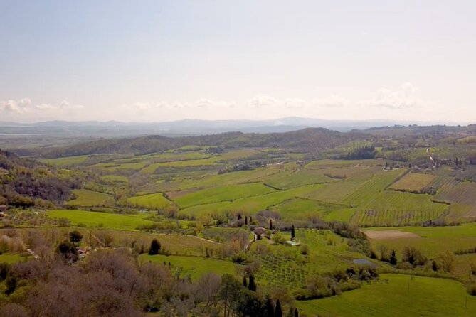 Tuscany Wine & Hills from Florence - Small Group - Guide quality and group size: the difference between smooth and rushed