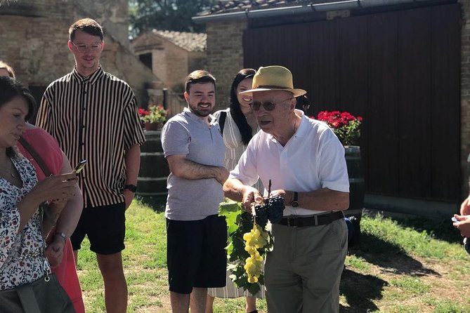 Tuscany Wine & Hills from Siena - Small Group - Lunch, Snacks, and What the Wine Tasting Actually Includes