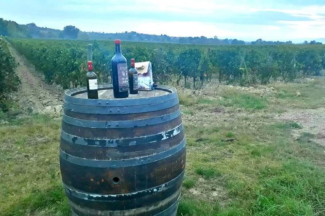 Tuscany Wine & Hills from Siena - Small Group - Price and Value: Is $154.98 a Fair Deal?