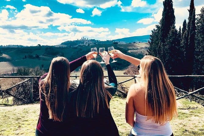 Tuscany Wine Tour: 2 Wineries & San Gimignano from Florence - Price and logistics: what $229.77 buys you in real terms