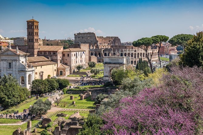 Ultimate Colosseum, Roman Forum & Palatine Hill Small Group Tour - Palatine Hill: The Imperial Neighborhood with Big Views