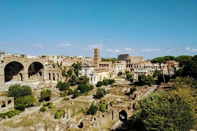Ultimate Colosseum Small Group Tour - Who should book this Colosseum, Forum, and Palatine tour?