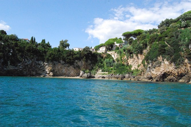 Ulysses Coast Boat Tours - Small-Group Ulysses Coast Cruise: What You’re Actually Buying