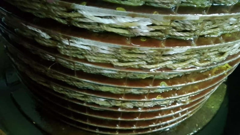 Umbria: guided tour to traditional oil mill + tasting - Who should book this oil mill tour