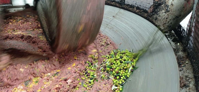 Umbria: guided tour to traditional oil mill + tasting - Why this Umbria olive mill tour feels worth your time