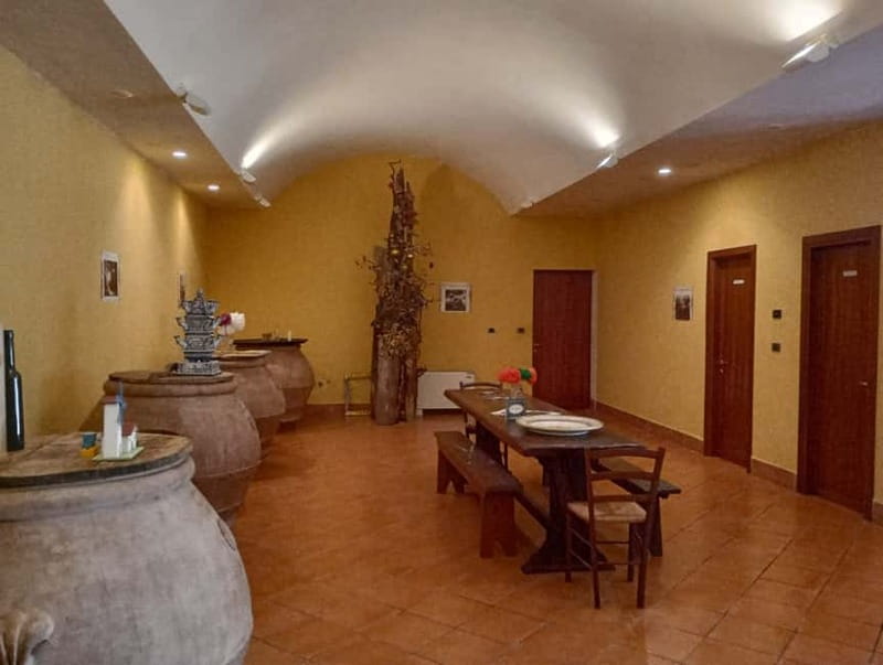 Umbria: guided tour to traditional oil mill + tasting - The tasting part: bruschetta styles, wine, and the “what should I buy” test