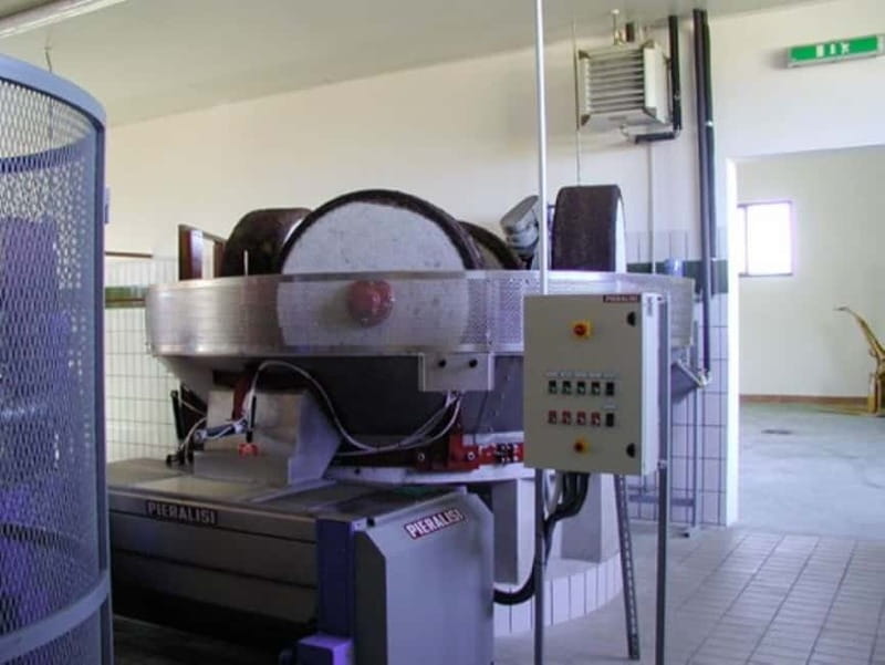 Umbria: guided tour to traditional oil mill + tasting - When it’s harvest season (Oct–Dec) versus off-season visits