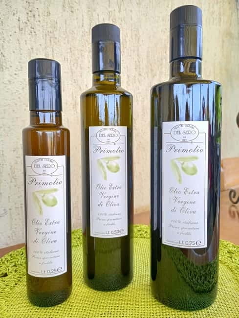 Umbria: guided tour to traditional oil mill + tasting - Outdoor tasting in the olive grove: what to expect