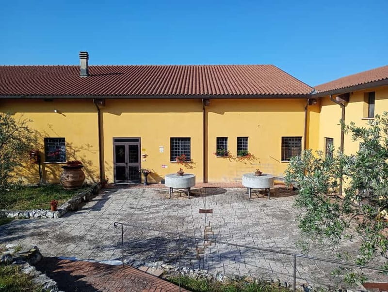 Umbria: guided tour to traditional oil mill + tasting - Frantoio Del Sero: what you actually see during the guided hour