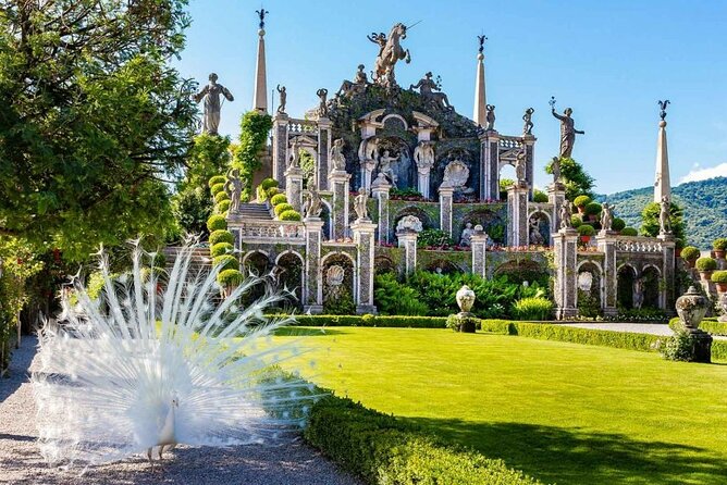 Unique Lake Maggiore Day Trip from Milan - Isola Bella and the Borromean Palace Area: The Garden-First Moment