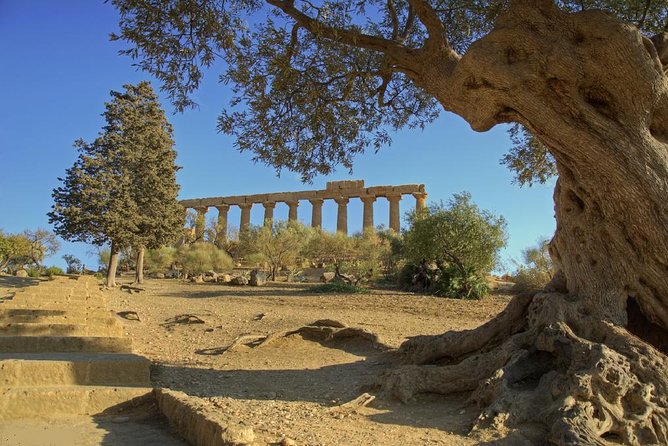Valley of the Temples and Villa Romana del Casale Day Trip from Taormina - My booking checklist before you go