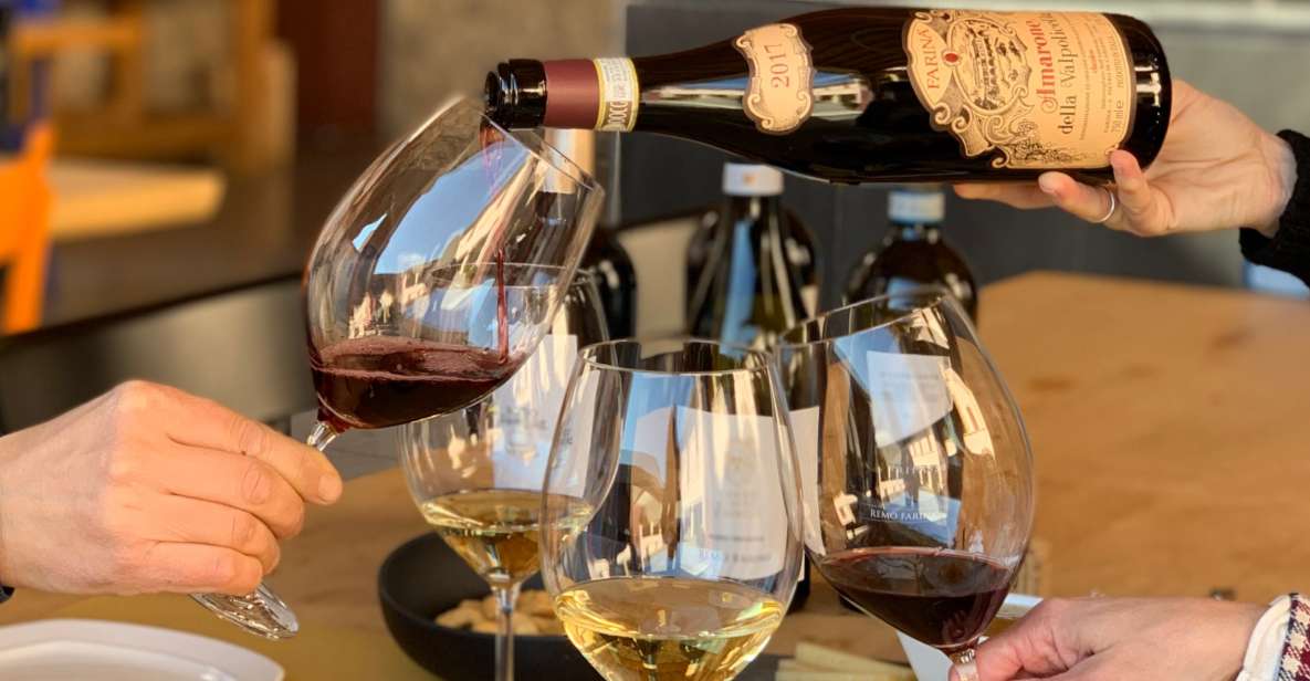 Valpolicella: 1.5-Hour Guided Winery Tour with Wine Tasting - The winemaking story from vineyard to bottling