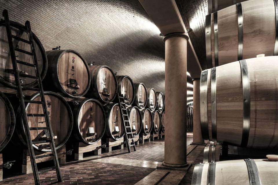 Valpolicella: 1.5-Hour Guided Winery Tour with Wine Tasting - Walking the winery: cellar views and vineyard time