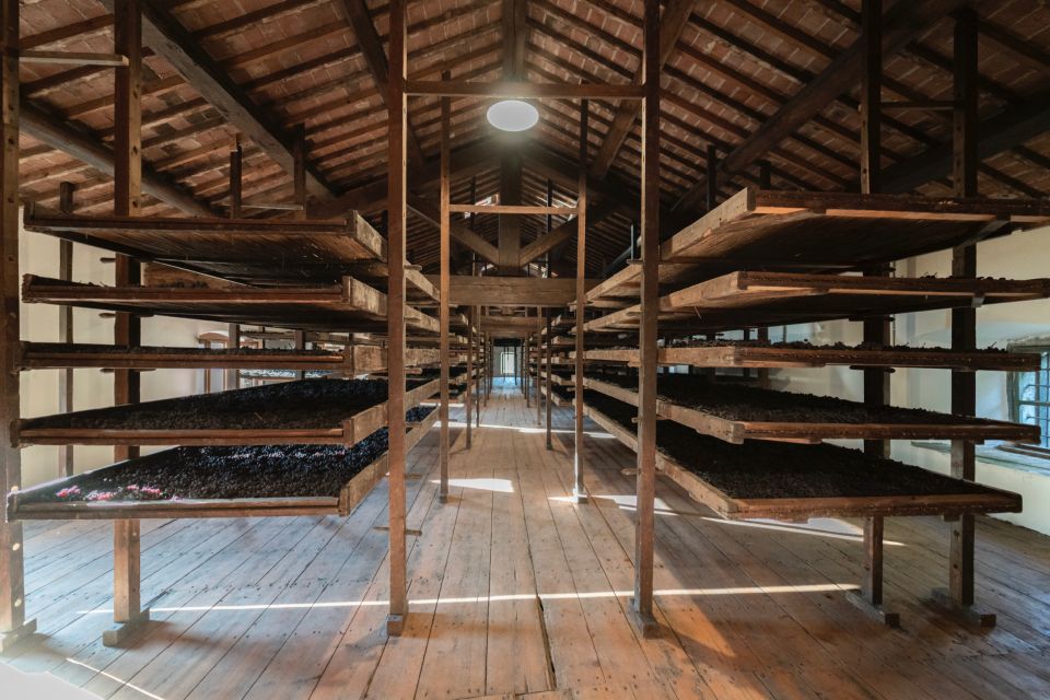 Valpolicella: Amarone Chateau Guided Tour and Wine Tasting - Key things that make this Valpolicella tour worth your time