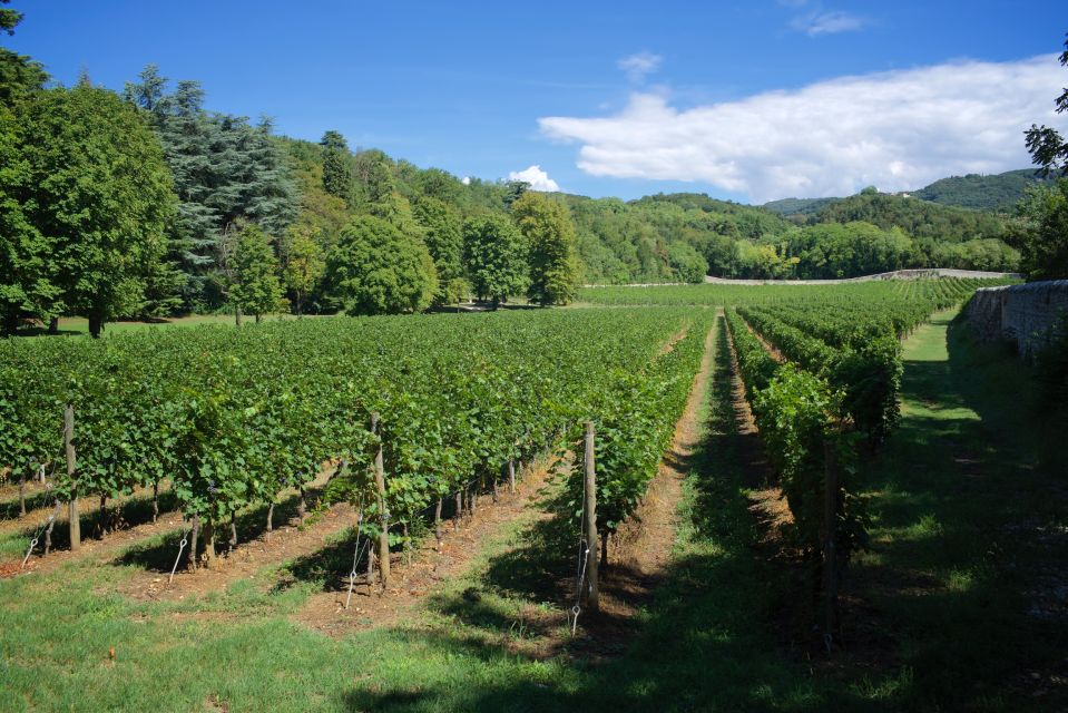 Valpolicella: Amarone Chateau Guided Tour and Wine Tasting - Tenuta Santa Maria di Gaetano Bertani: a focused estate, not a wine lecture