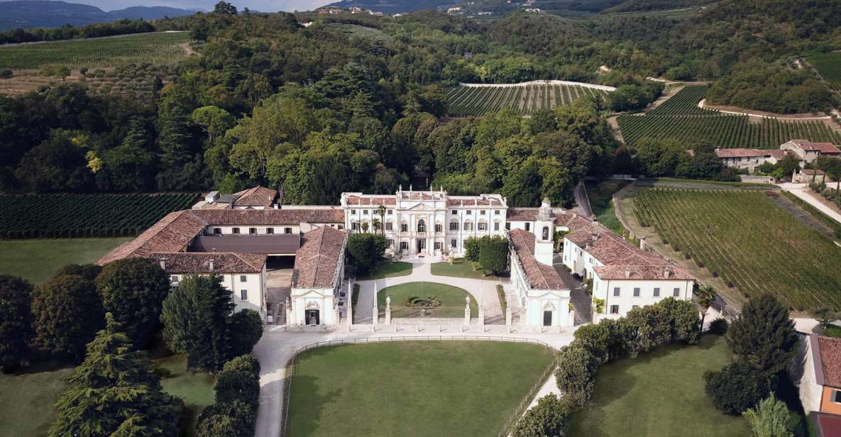 Valpolicella: Amarone Chateau Guided Tour and Wine Tasting - The 18th-century villa stop: frescoes and the estate’s “why”