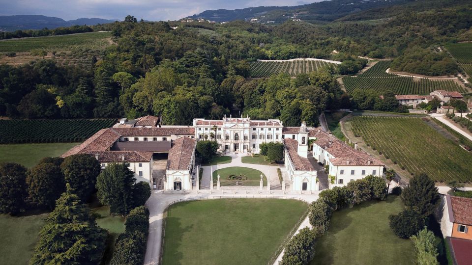 Valpolicella: Amarone Chateau Guided Tour and Wine Tasting - Brolo vineyards and the 16th-century walls: where tradition becomes concrete
