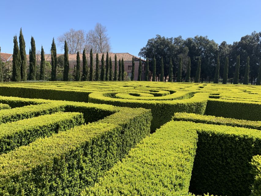 Venice: Borges Labyrinth Experience on San Giorgio Island - Key things to know before you go
