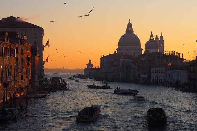 Venice Marco Polo Airport Private Arrival Transfer via Motorboat - Where You Actually Land: Closest Dock, Steps, and Luggage Reality