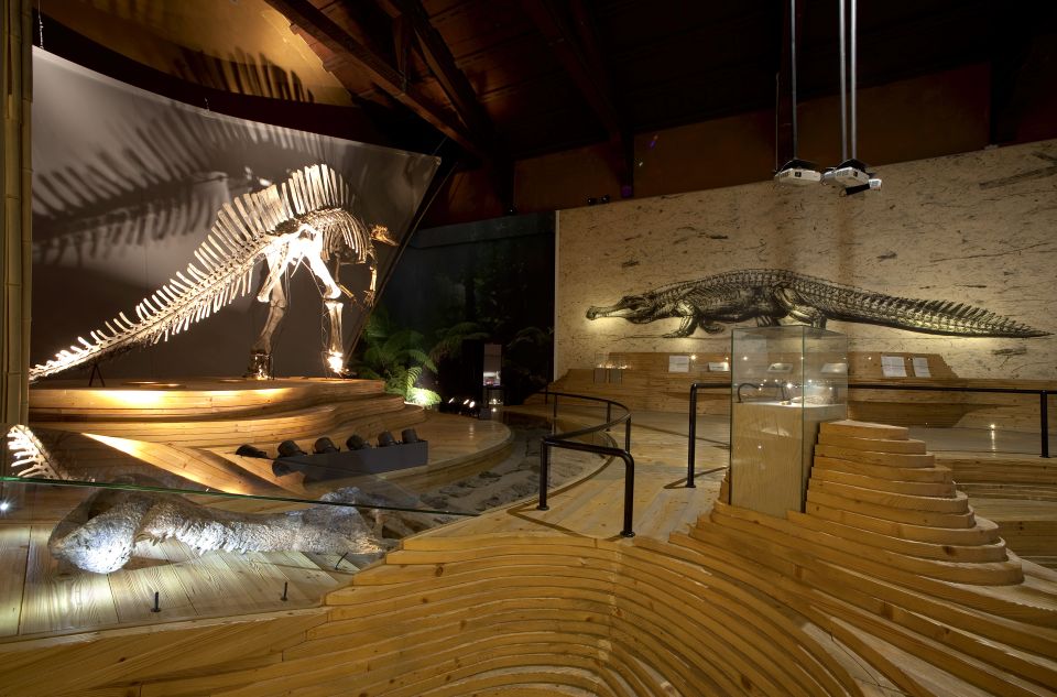 Venice: Natural History Museum Entry Ticket - The Palazzo on the Grand Canal: A Museum You’ll Want to Photograph