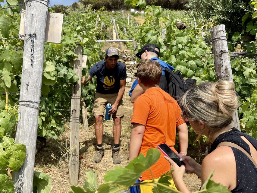 Vernazza: Panoramic Vineyard Trekking Tour w/ Wine Tasting - Key things that make this tour work