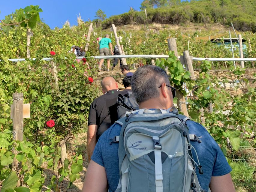 Vernazza: Panoramic Vineyard Trekking Tour w/ Wine Tasting - The hike up: stairs, steep grade, and why it’s worth it