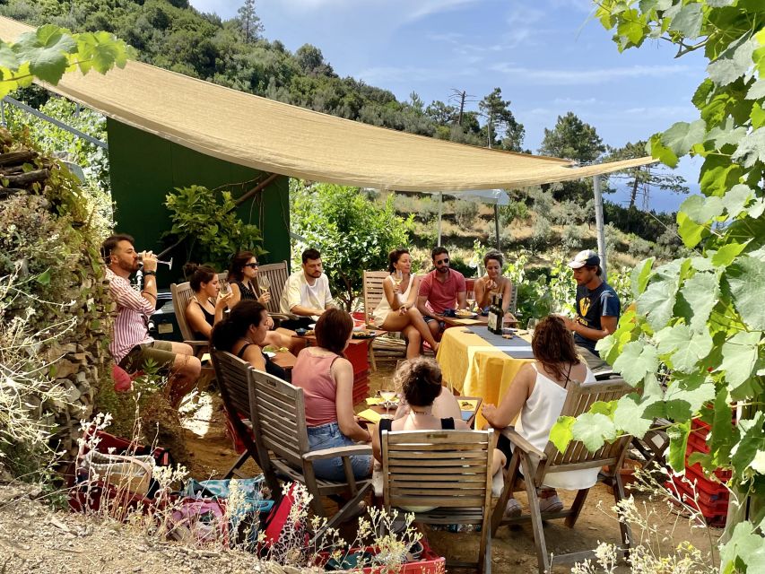 Vernazza: Panoramic Vineyard Trekking Tour w/ Wine Tasting - Eroico Vineyard tasting: 3 wines, local snacks, and guide storytelling
