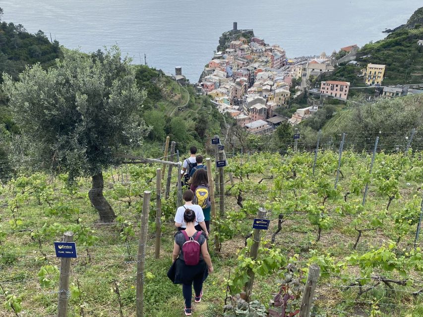 Vernazza: Panoramic Vineyard Trekking Tour w/ Wine Tasting - The timing: how the 3 hours feel on the ground