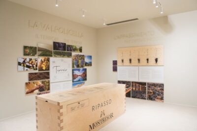 Verona: Montresor Winery Visit with Wine Tasting and Snacks - Valpolicella Reds vs Lake Garda Whites: What You Actually Taste