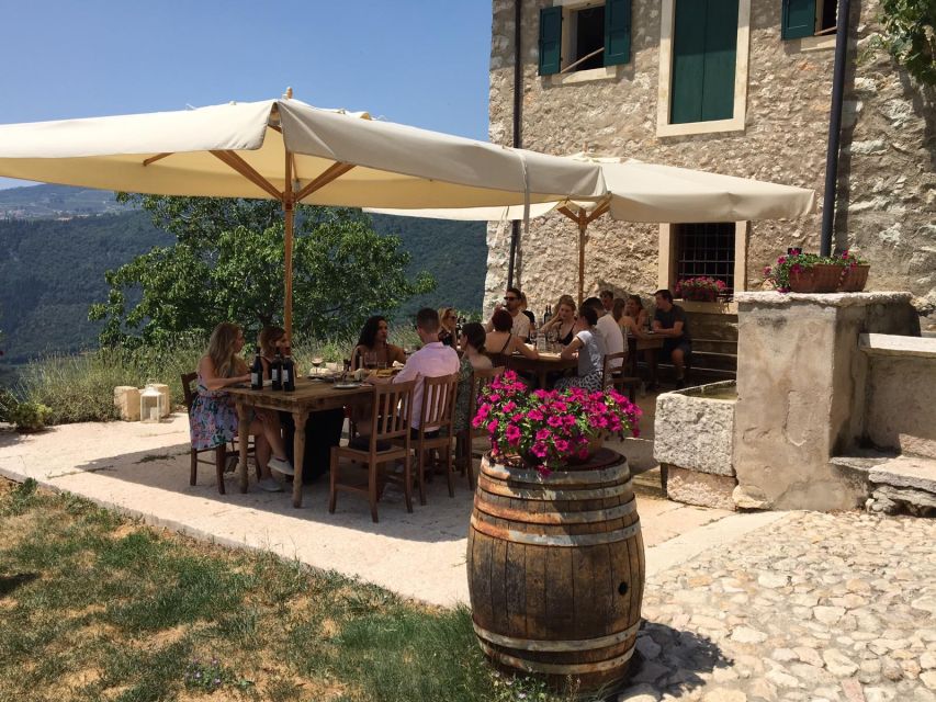Verona: Vineyard and Winery Tour with Wine Tasting - Key highlights I’d plan around