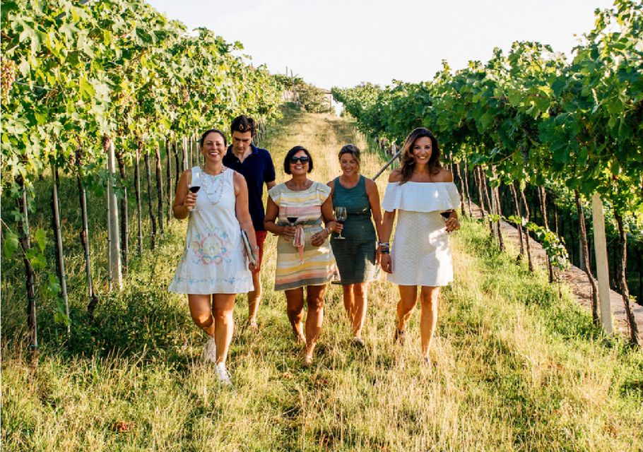 Verona: Vineyard and Winery Tour with Wine Tasting - The vineyard stroll: where flavor starts