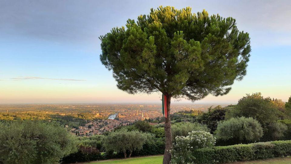 Verona: Wine Tasting with Snacks and Panoramic Views - Who should book this Verona tasting (and who might skip)