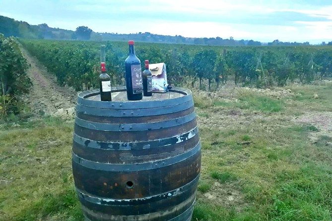 Vespa Tour with Lunch&Chianti Winery from Siena - Seeing Radda in Chianti from the road