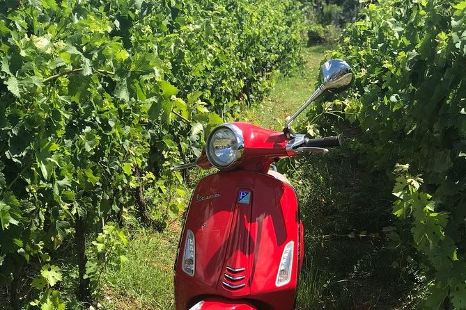 Vespa Tour with Lunch&Chianti Winery from Siena - Casale dello Sparviero: winery tour, tasting, and that photo moment