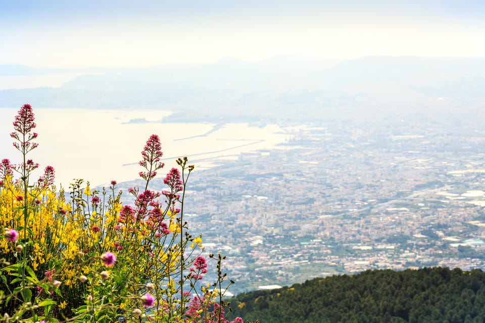 Vesuvio Skip The Line Ticket With Digital Audioguide - Skip-The-Line Tickets That Start You Moving