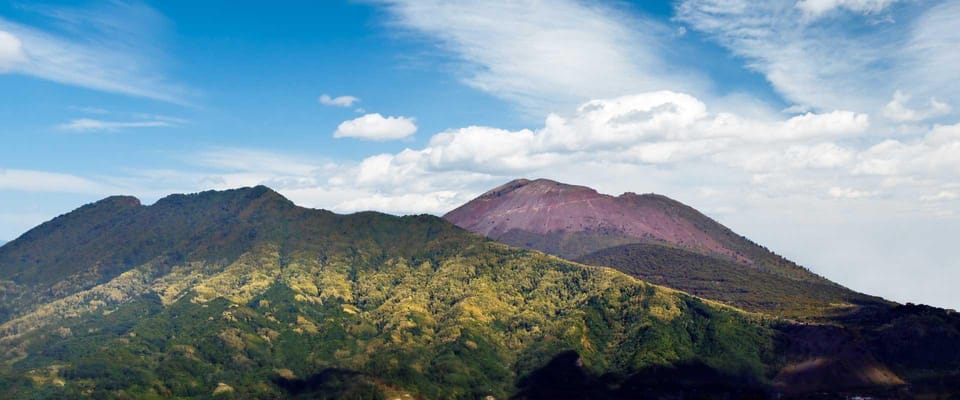 Vesuvius National Park Skip-The-Line Ticket and Audio Guide - Price and value: is $29 a fair deal?