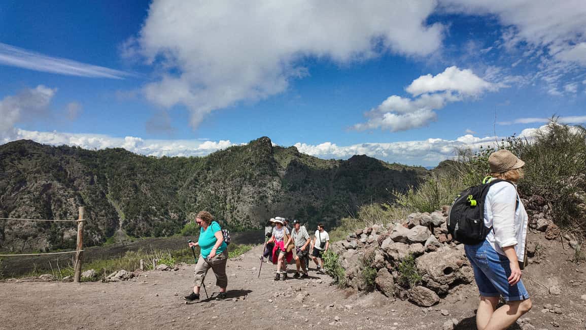 Vesuvius Volcano Experience: from Naples, Pompeii and Rome - Who this tour suits best (and who should skip it)