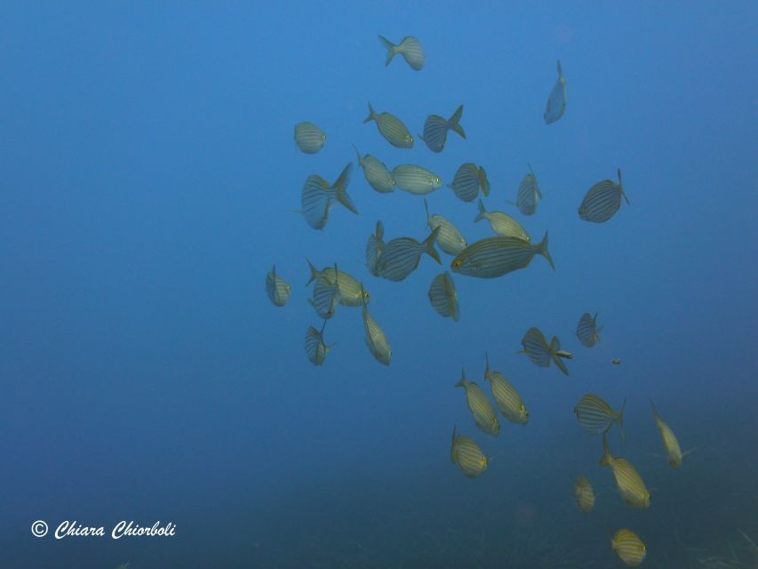 Villasimius: Capo Carbonara Boat and Snorkeling Tour - The 25-minute break plus the meaning of SCIs