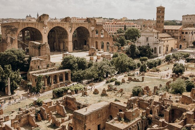 VIP Colosseum, Roman Forum & Palatine Hill & Special Access Sites - What your guide is really doing (and why names matter)
