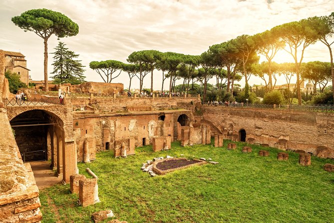 VIP Colosseum & Roman Forum Small Group Guided Tour - Small-Group VIP Energy: The Difference You Feel
