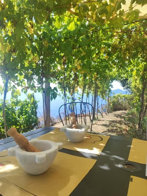 Volastra: BarCa Wine Tasting in Cinque Terre and Pesto Class - Key things I’d plan for