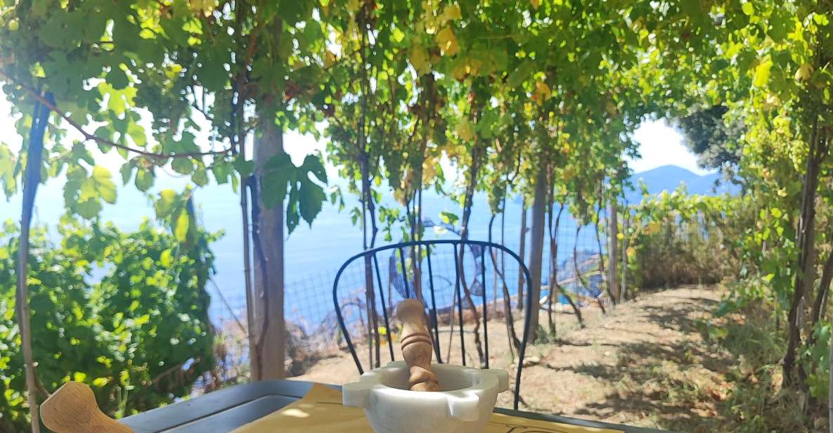 Volastra: BarCa Wine Tasting in Cinque Terre and Pesto Class - Price and Value: Is $71 Worth It?
