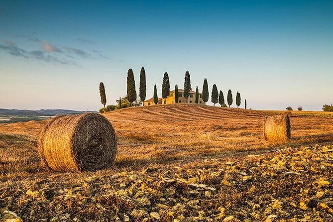 Walking Food Tour of Florence with Tastings and Wine - Vegetarian Options and Dietary Limits: Tell Them Early