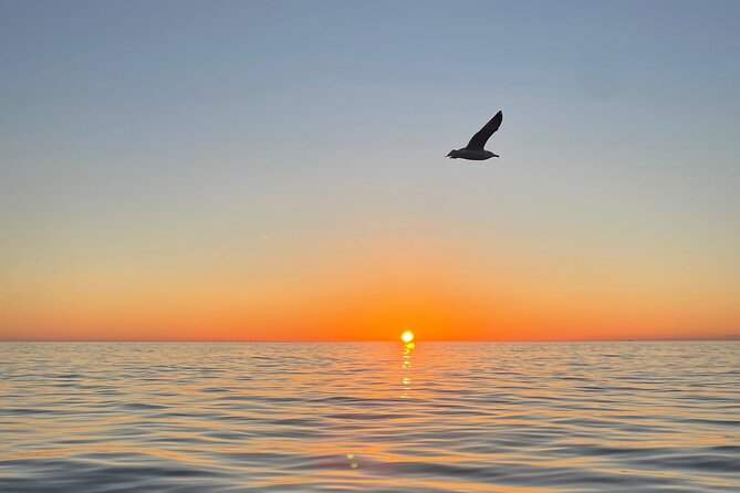 Where the Sun sets: your 5Terre Chill Cruise - Cruising the Cinque Terre Marine Protected Area (and why it matters)
