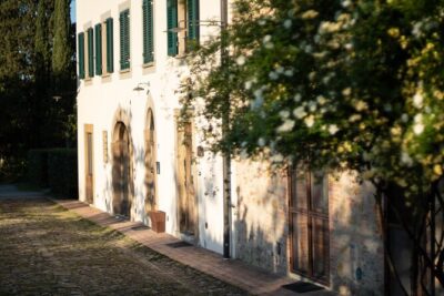 Wine and food tasting in an organic family winery - The eight organic wines: what you’ll taste and why it matters