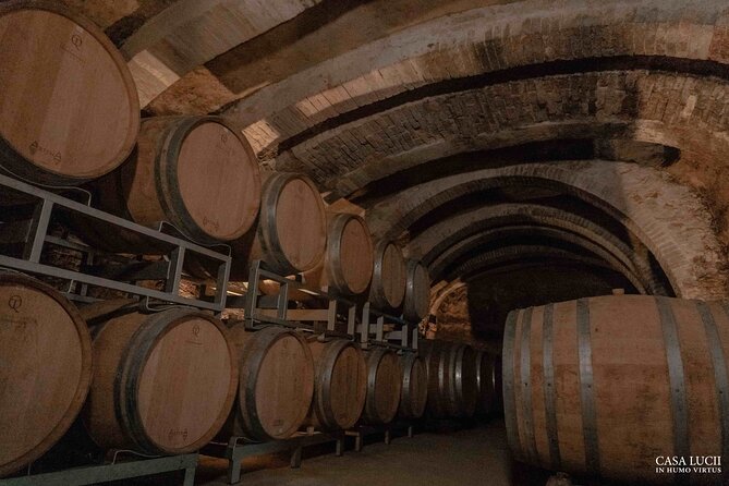 Wine and food tasting in an organic family winery - Meeting the hosts: Orlando, Lucrezia, and the family tone